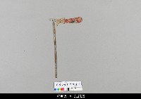藏品(中國湖北皮影戲偶身-單手)的圖片
